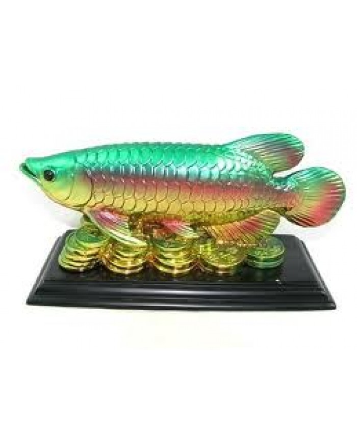 Arowana Fish